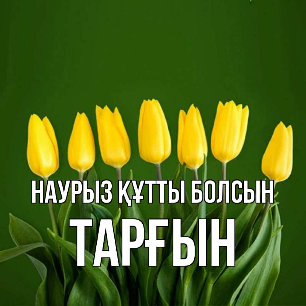 Күн сайын ашық хат с именем, ТАРҒЫН Наурыз құтты болсын желтого цвета 3 Онлайн тегін жүктеп алу тілектері бар керемет карта 
