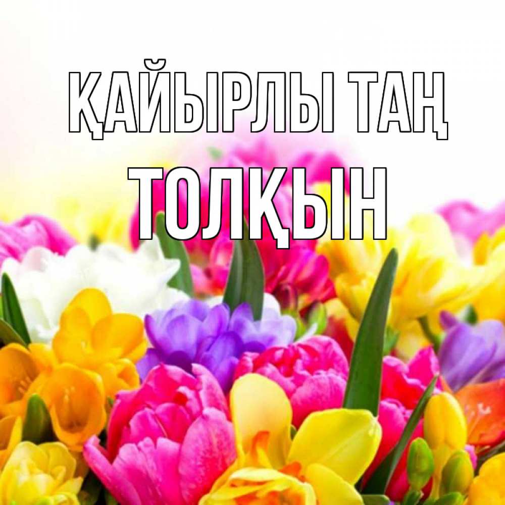 Күн сайын ашық хат с именем, ТОЛҚЫН Қайырлы таң создать открытку со свое подписью Онлайн тегін жүктеп алу тілектері бар керемет карта 