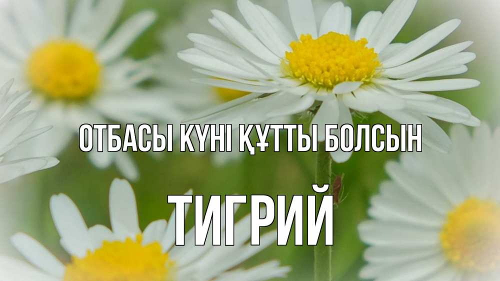 Күн сайын ашық хат с именем, Тигрий отбасы күні құтты болсын с днем семьи  1 Онлайн тегін жүктеп алу тілектері бар керемет карта 