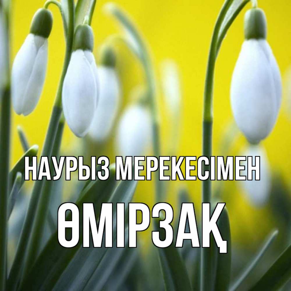 Күн сайын ашық хат с именем, ӨМІРЗАҚ Наурыз мерекесімен весенние цветы Онлайн тегін жүктеп алу тілектері бар керемет карта 