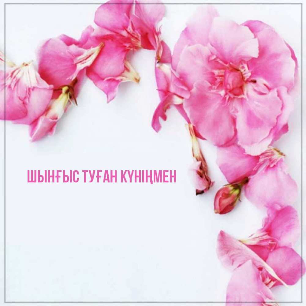 Картинка  с именем , ШЫНҒЫС! ТУҒАН КҮНІҢМЕН!