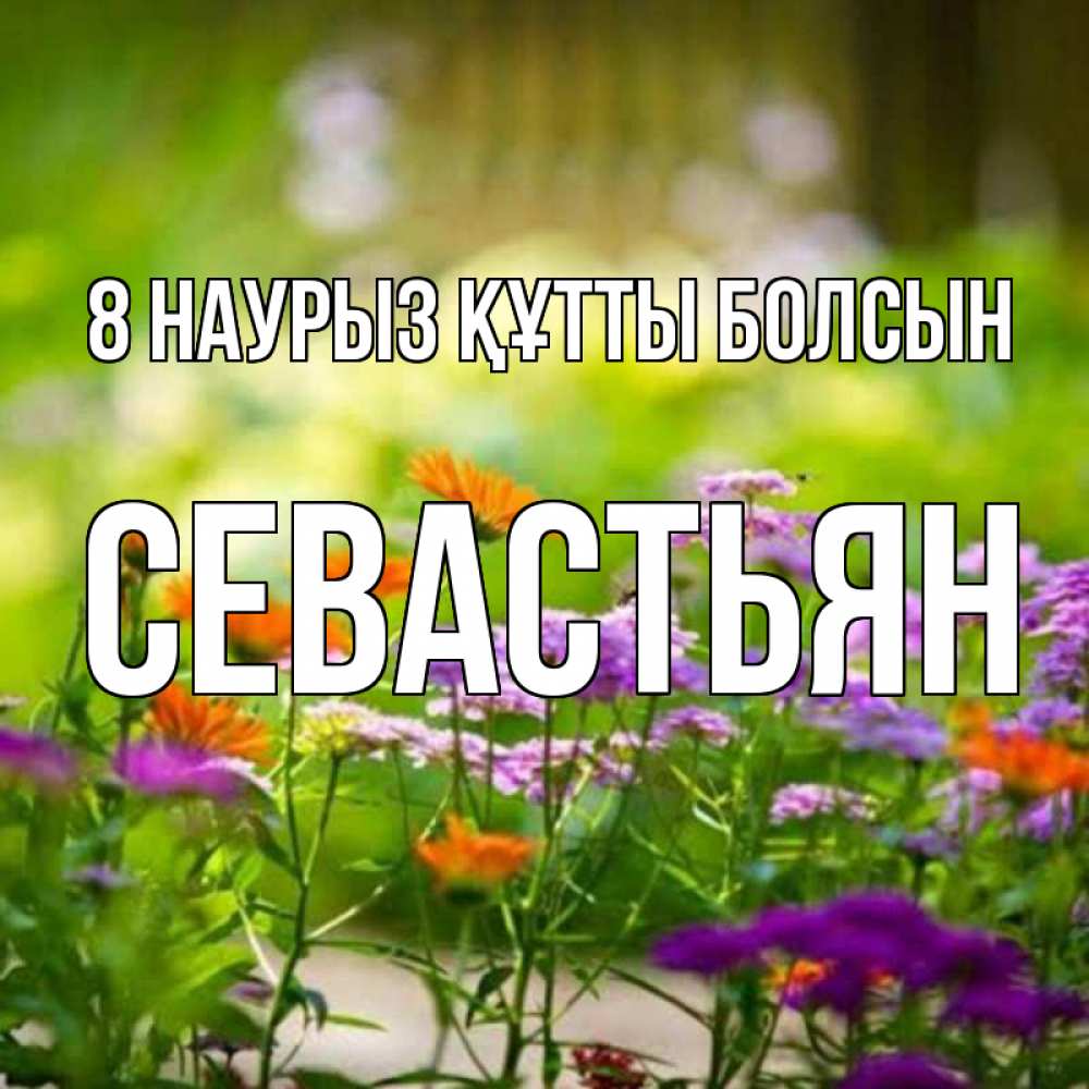 Күн сайын ашық хат с именем, Севастьян 8 наурыз құтты болсын цветы Онлайн тегін жүктеп алу тілектері бар керемет карта 
