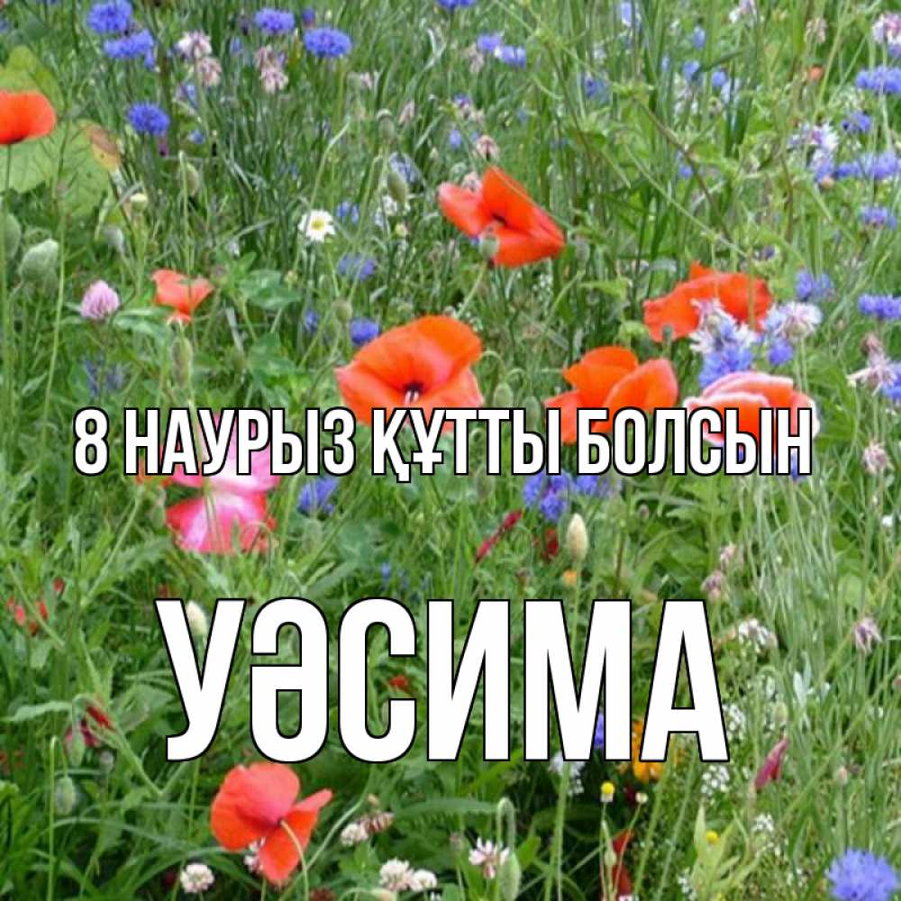 Күн сайын ашық хат с именем, УӘСИМА 8 наурыз құтты болсын международный женский день 4 Онлайн тегін жүктеп алу тілектері бар керемет карта 