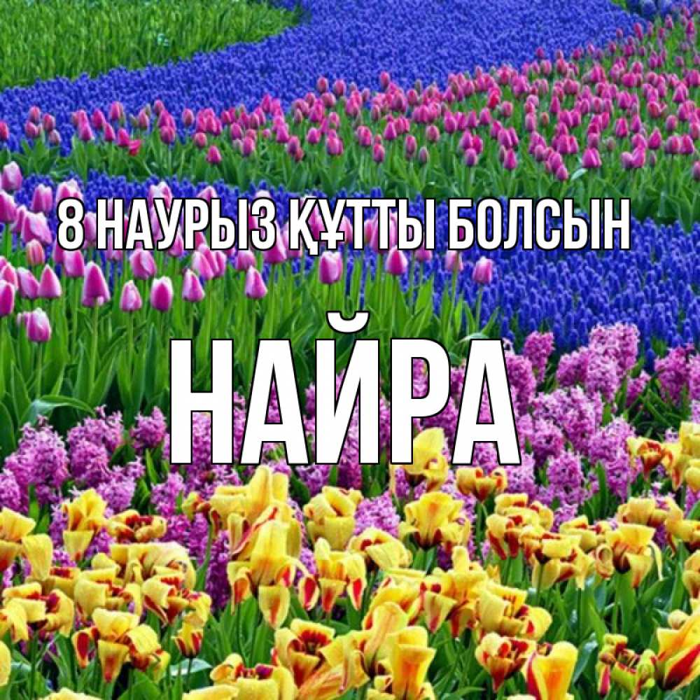 Күн сайын ашық хат с именем, НАЙРА 8 наурыз құтты болсын цветы Онлайн тегін жүктеп алу тілектері бар керемет карта 