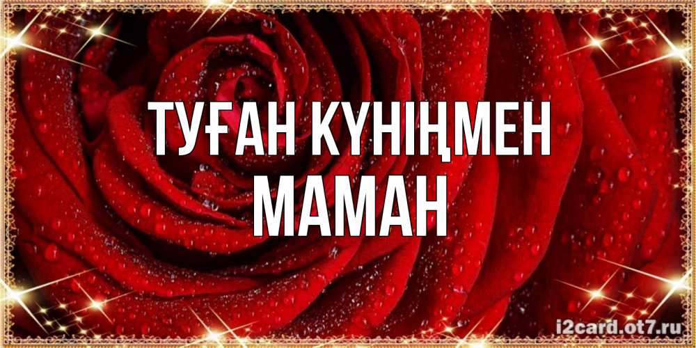 Күн сайын ашық хат с именем, МАМАН Туған күніңмен роса на розе блестящая в лучах солнца Онлайн тегін жүктеп алу тілектері бар керемет карта 