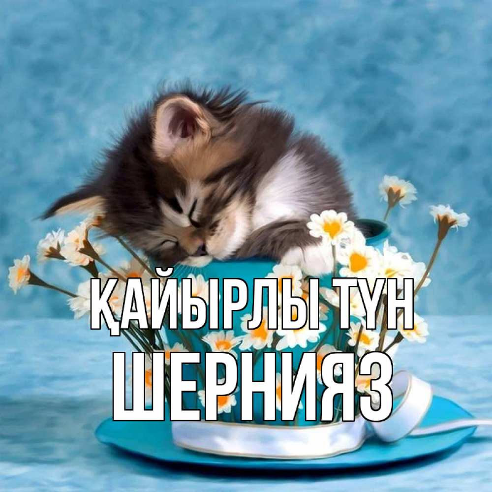 Күн сайын ашық хат с именем, ШЕРНИЯЗ Қайырлы түн котенок спит в кружке с блюдцем Онлайн тегін жүктеп алу тілектері бар керемет карта 