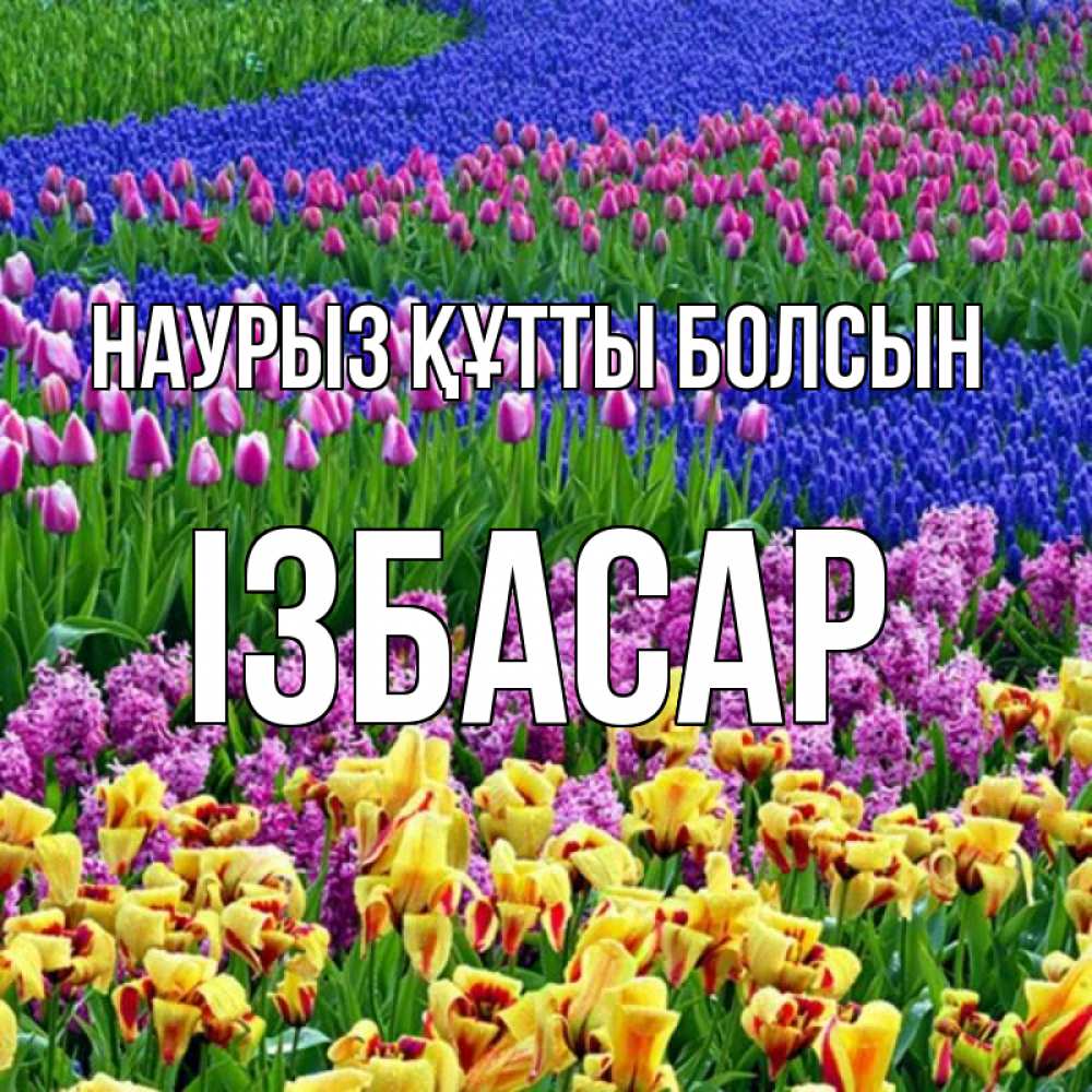 Күн сайын ашық хат с именем, Ізбасар Наурыз құтты болсын цветы Онлайн тегін жүктеп алу тілектері бар керемет карта 