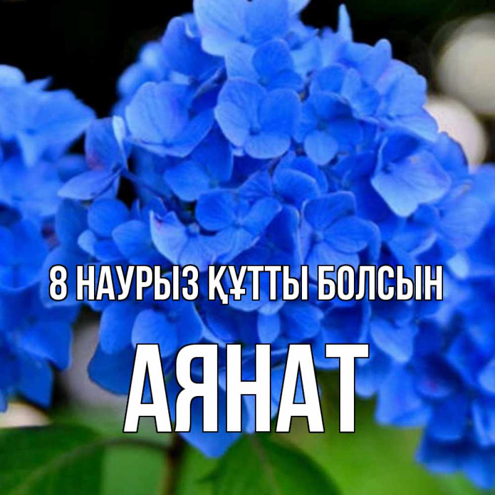 Күн сайын ашық хат с именем, АЯНАТ 8 наурыз құтты болсын синие цветы Онлайн тегін жүктеп алу тілектері бар керемет карта 