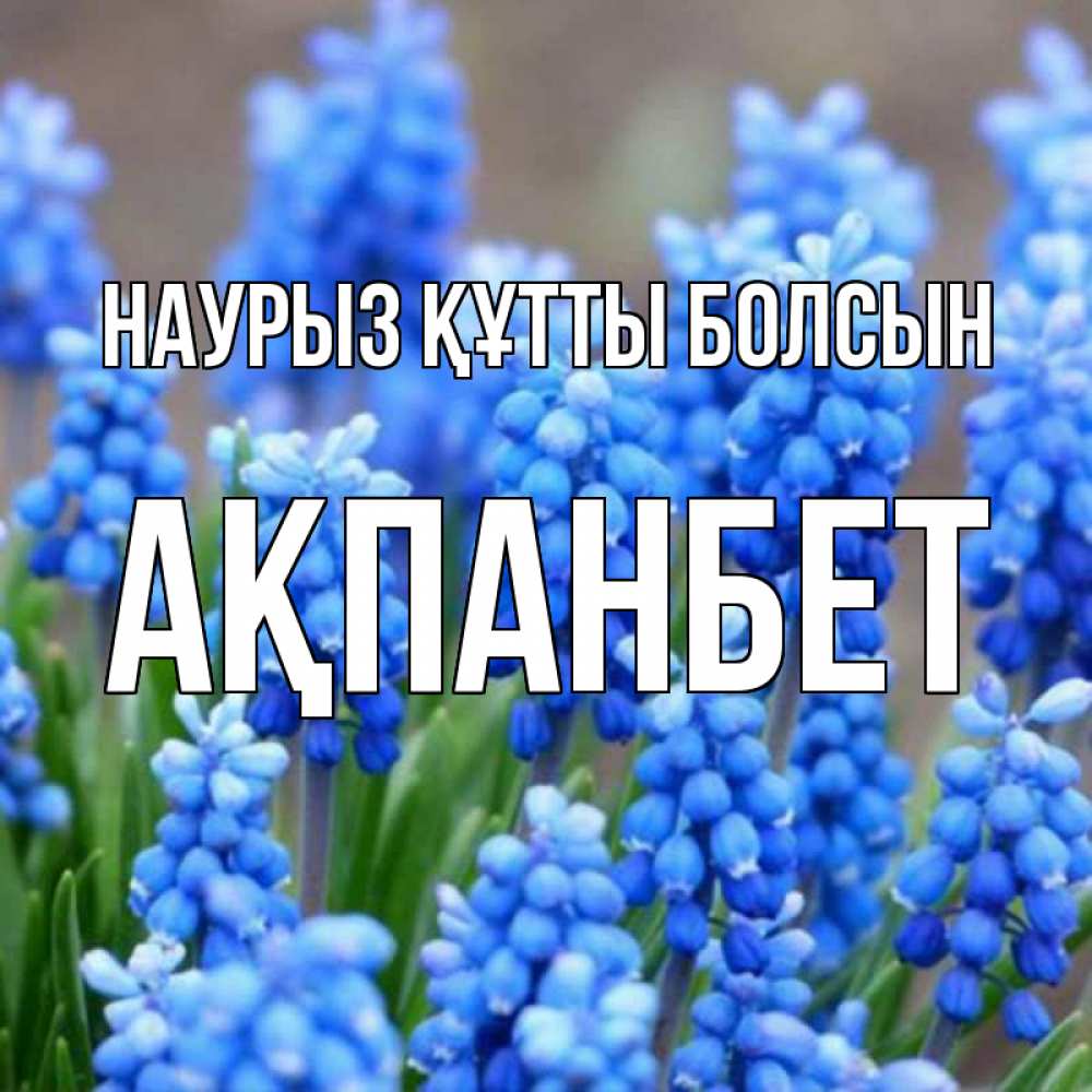 Күн сайын ашық хат с именем, Ақпанбет Наурыз құтты болсын Поздравительная открытка для женщин с цветами на праздничную дату Онлайн тегін жүктеп алу тілектері бар керемет карта 