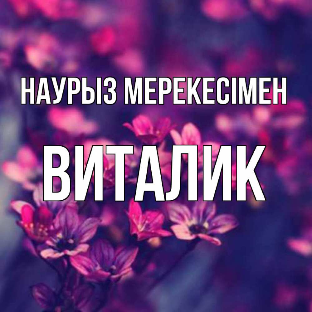 Күн сайын ашық хат с именем, Виталик Наурыз мерекесімен небольшие цветы 1 Онлайн тегін жүктеп алу тілектері бар керемет карта 