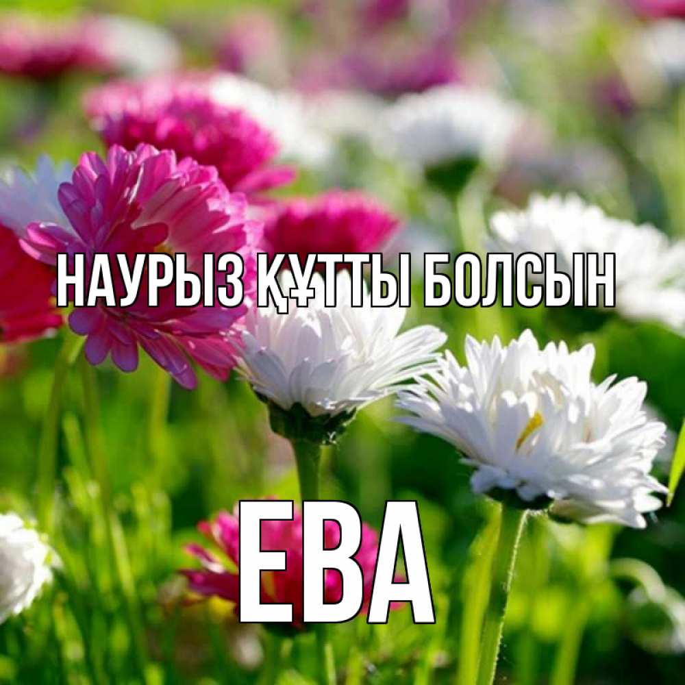 Күн сайын ашық хат с именем, Ева Наурыз құтты болсын наурыз Онлайн тегін жүктеп алу тілектері бар керемет карта 