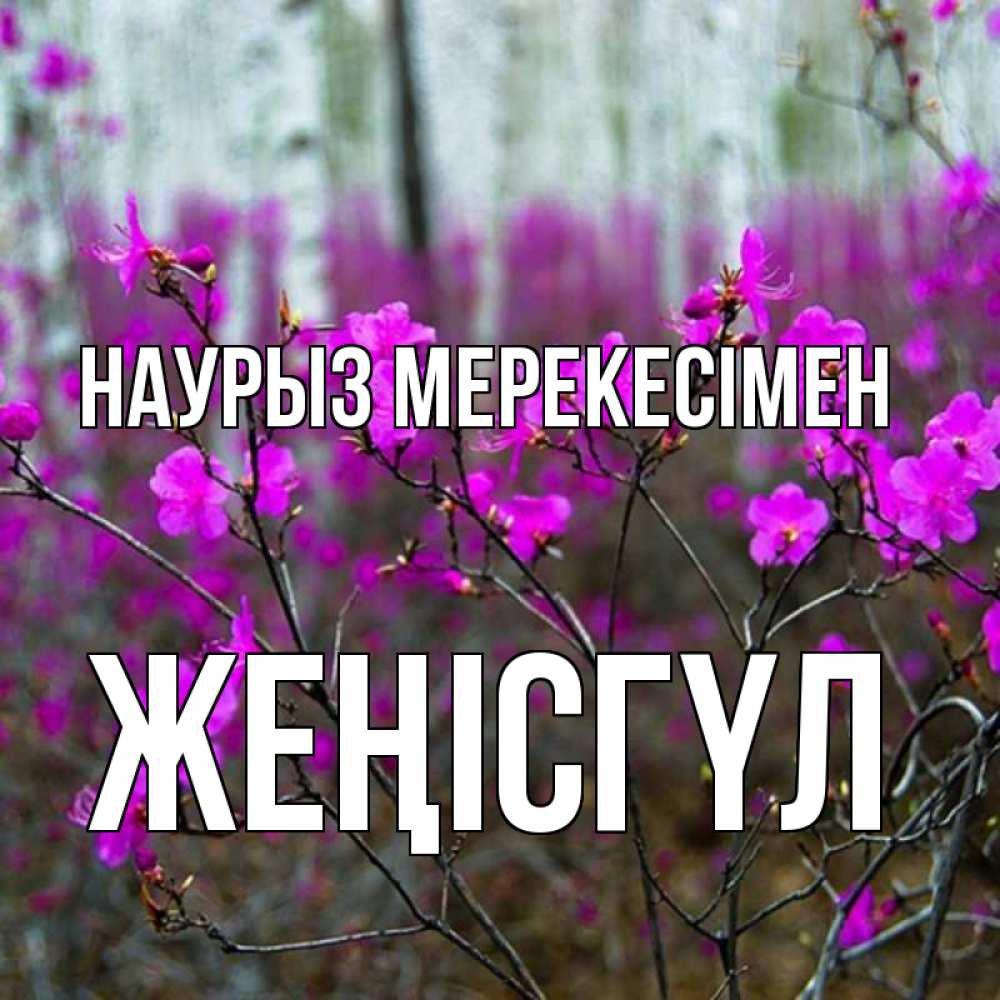 Күн сайын ашық хат с именем, ЖЕҢІСГҮЛ Наурыз мерекесімен дикие цветы Онлайн тегін жүктеп алу тілектері бар керемет карта 