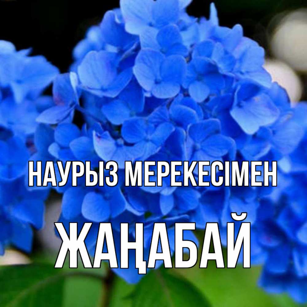 Күн сайын ашық хат с именем, Жаңабай Наурыз мерекесімен синие цветы Онлайн тегін жүктеп алу тілектері бар керемет карта 
