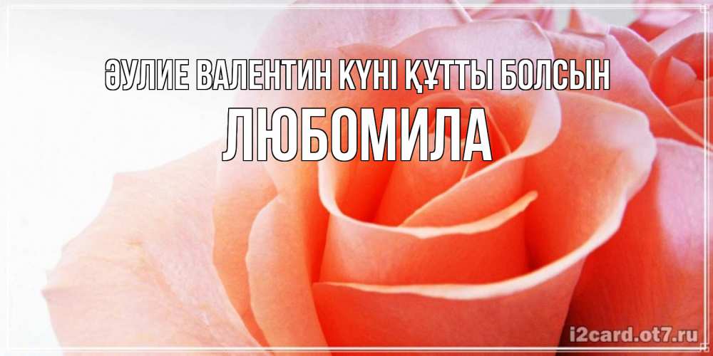 Күн сайын ашық хат с именем, Любомила Әулие Валентин күні құтты болсын открытка на день Святого Валентина с розовой розой Онлайн тегін жүктеп алу тілектері бар керемет карта 