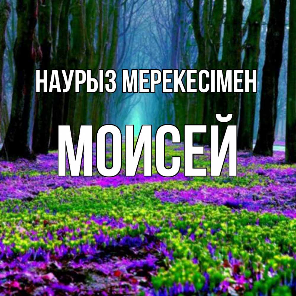 Күн сайын ашық хат с именем, Моисей Наурыз мерекесімен фиолетовые цветы в лесу 1 Онлайн тегін жүктеп алу тілектері бар керемет карта 