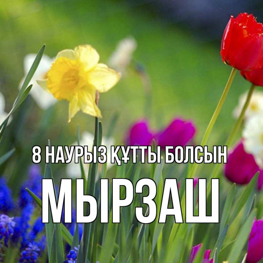 Күн сайын ашық хат с именем, Мырзаш 8 наурыз құтты болсын международный женский день 3 Онлайн тегін жүктеп алу тілектері бар керемет карта 