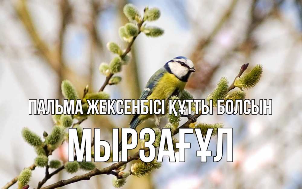 Күн сайын ашық хат с именем, Мырзағұл Пальма жексенбісі құтты болсын верба Онлайн тегін жүктеп алу тілектері бар керемет карта 