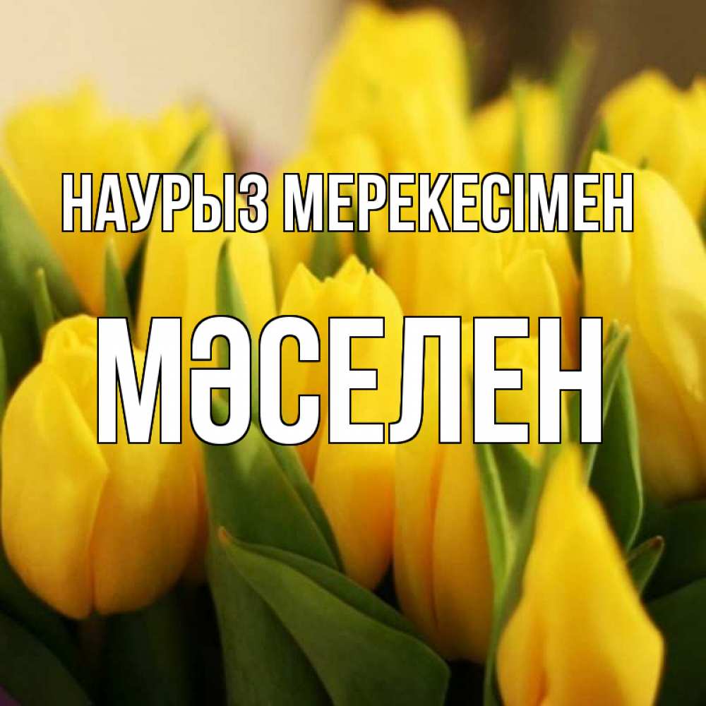 Күн сайын ашық хат с именем, Мәселен Наурыз мерекесімен цветы Онлайн тегін жүктеп алу тілектері бар керемет карта 