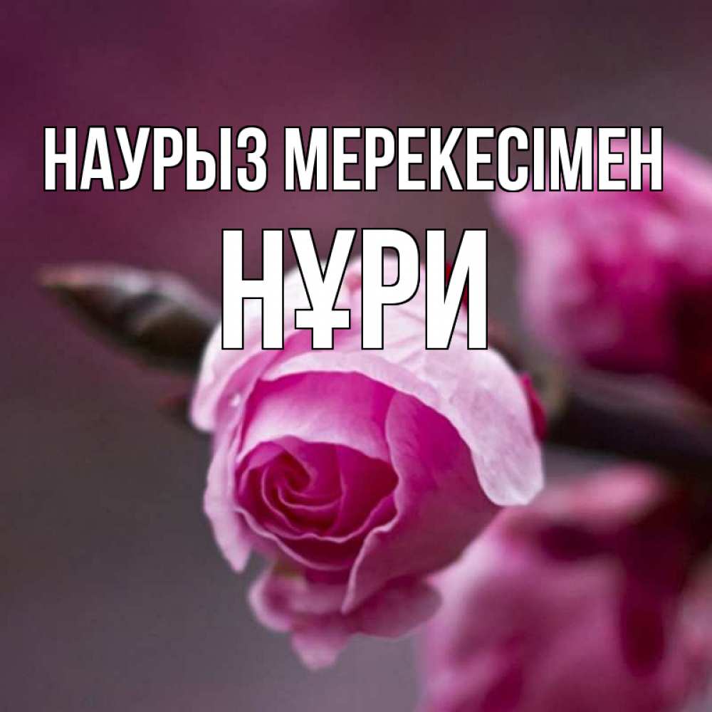 Күн сайын ашық хат с именем, НҰРИ Наурыз мерекесімен весна Онлайн тегін жүктеп алу тілектері бар керемет карта 