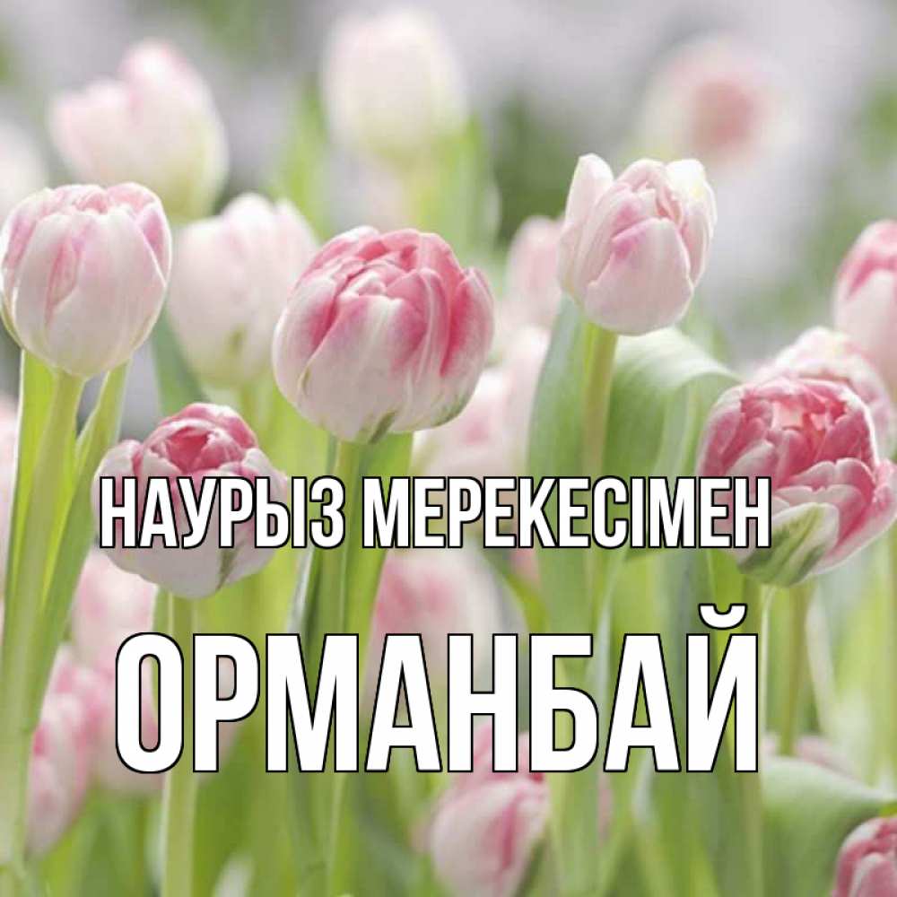 Күн сайын ашық хат с именем, ОРМАНБАЙ Наурыз мерекесімен цветы Онлайн тегін жүктеп алу тілектері бар керемет карта 