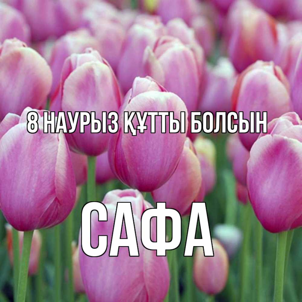 Күн сайын ашық хат с именем, САФА 8 наурыз құтты болсын на международный женский день 3 Онлайн тегін жүктеп алу тілектері бар керемет карта 