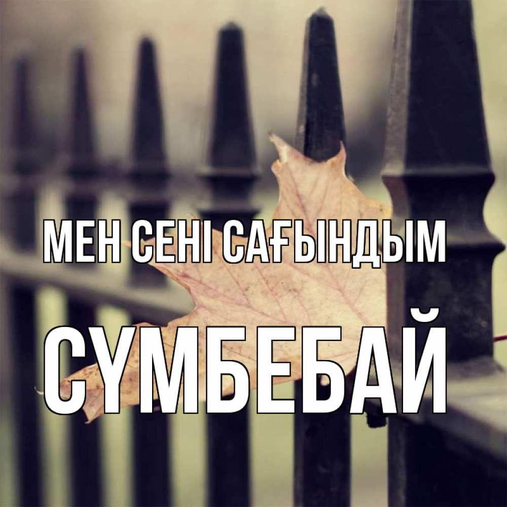 Күн сайын ашық хат с именем, СҮМБЕБАЙ Мен сені сағындым очень скучно Онлайн тегін жүктеп алу тілектері бар керемет карта 