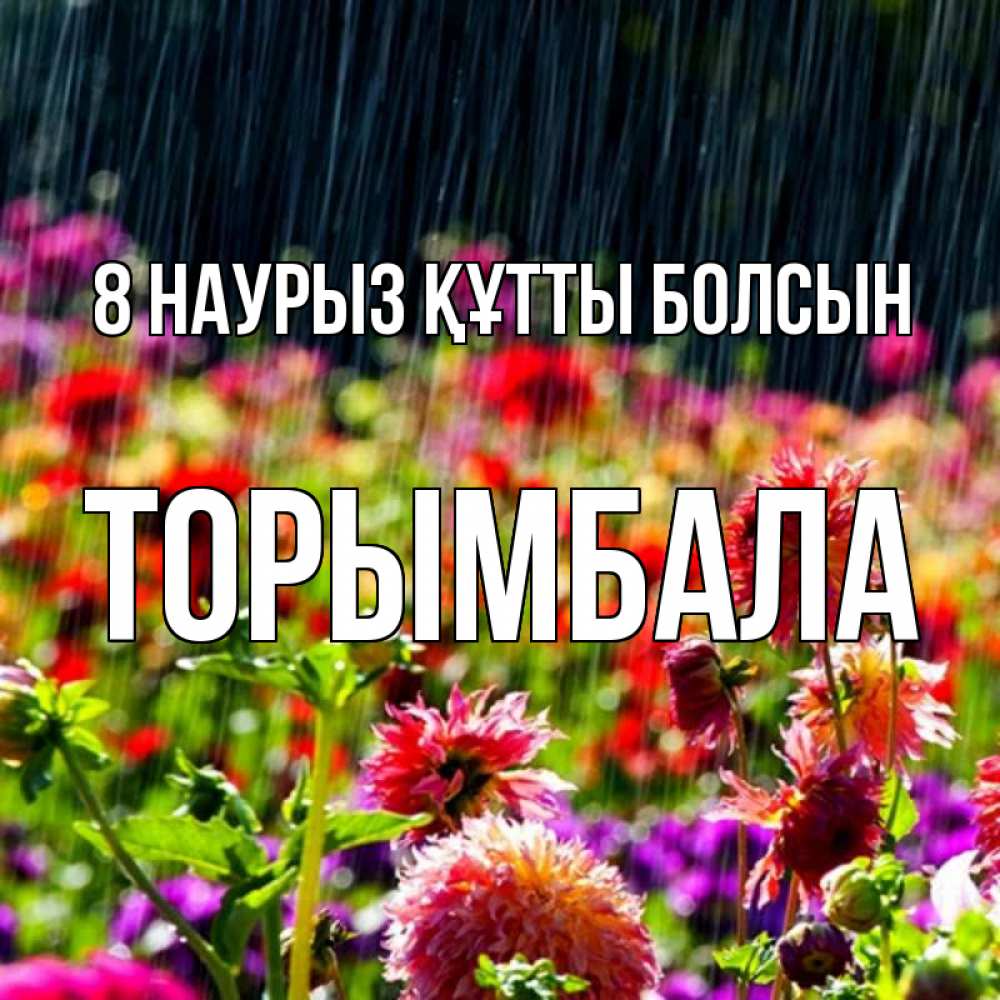 Күн сайын ашық хат с именем, ТОРЫМБАЛА 8 наурыз құтты болсын цветы под дождиком к международному женскому дню Онлайн тегін жүктеп алу тілектері бар керемет карта 