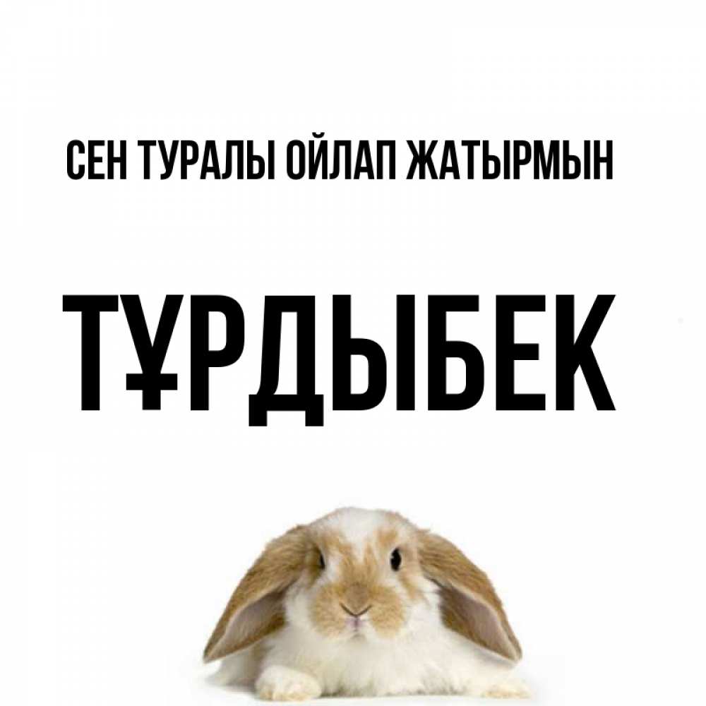 Күн сайын ашық хат с именем, ТҰРДЫБЕК Сен туралы ойлап жатырмын подписать своими руками онлайн Онлайн тегін жүктеп алу тілектері бар керемет карта 