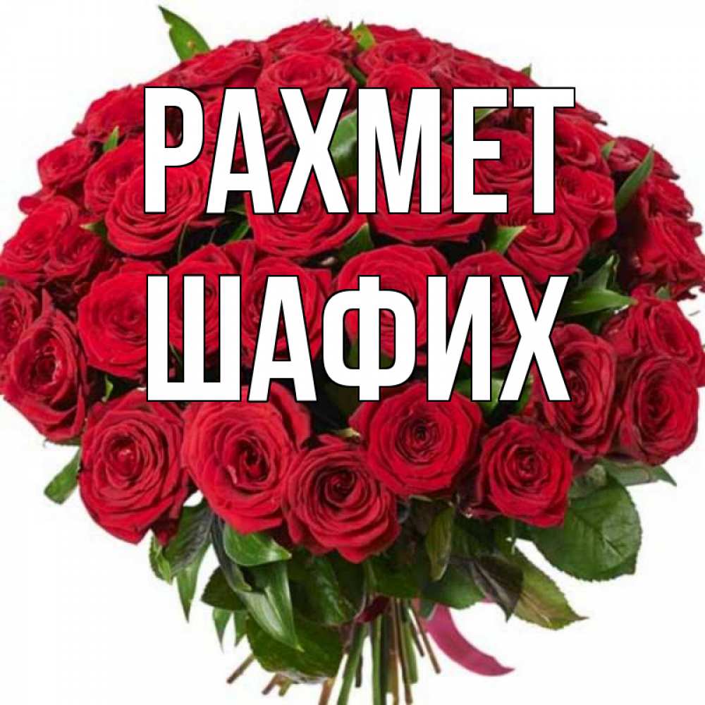 Күн сайын ашық хат с именем, ШАФИХ рахмет букет красных роз Онлайн тегін жүктеп алу тілектері бар керемет карта 