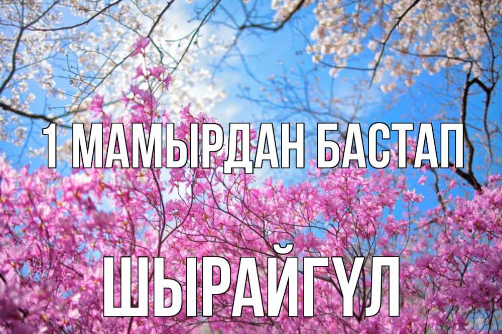 Күн сайын ашық хат с именем, ШЫРАЙГҮЛ 1 мамырдан бастап С 1 мая Онлайн тегін жүктеп алу тілектері бар керемет карта 