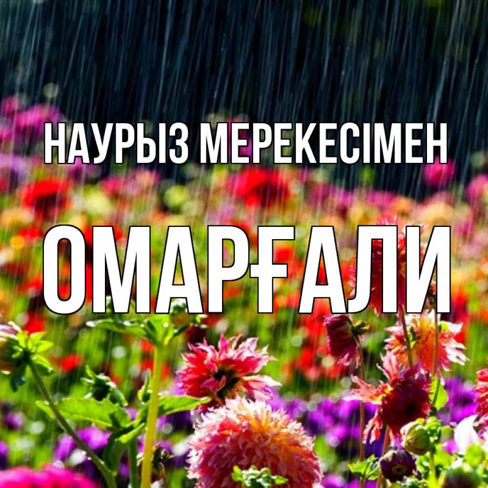 Күн сайын ашық хат с именем, ОМАРҒАЛИ Наурыз мерекесімен цветы под дождиком к международному женскому дню Онлайн тегін жүктеп алу тілектері бар керемет карта 