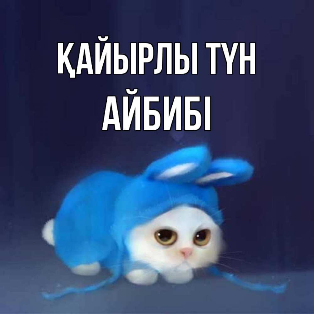 Күн сайын ашық хат с именем, АЙБИБІ Қайырлы түн кот в голубом костюме кролика с ушками Онлайн тегін жүктеп алу тілектері бар керемет карта 