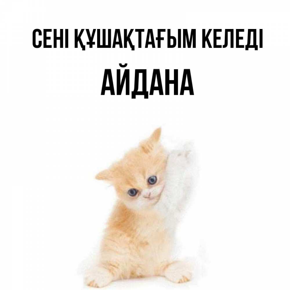 Күн сайын ашық хат с именем, АЙДАНА сені құшақтағым келеді я хочу очень скорее обнимаешек Онлайн тегін жүктеп алу тілектері бар керемет карта 