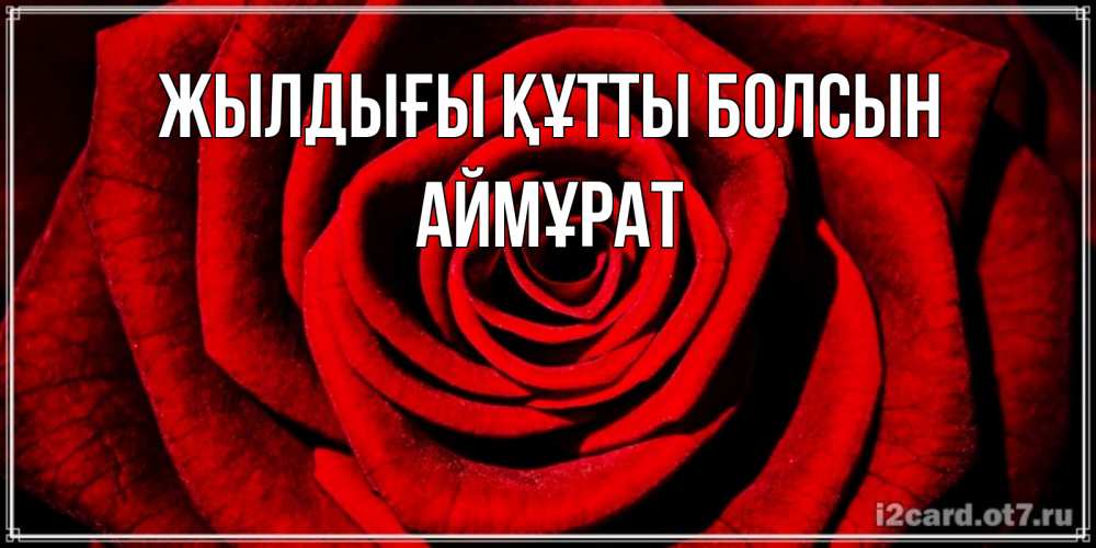 Күн сайын ашық хат с именем, Аймұрат Жылдығы құтты болсын алая роза Онлайн тегін жүктеп алу тілектері бар керемет карта 