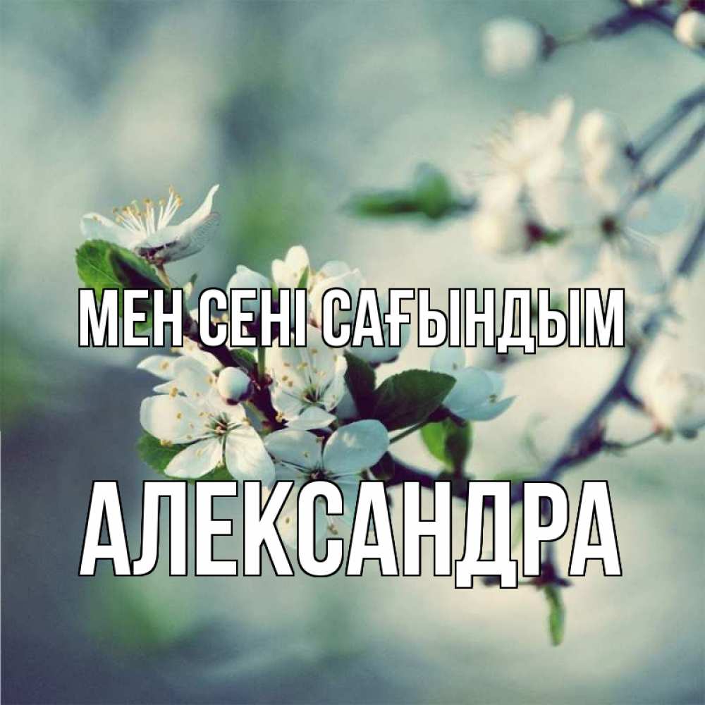Күн сайын ашық хат с именем, Александра Мен сені сағындым весна Онлайн тегін жүктеп алу тілектері бар керемет карта 