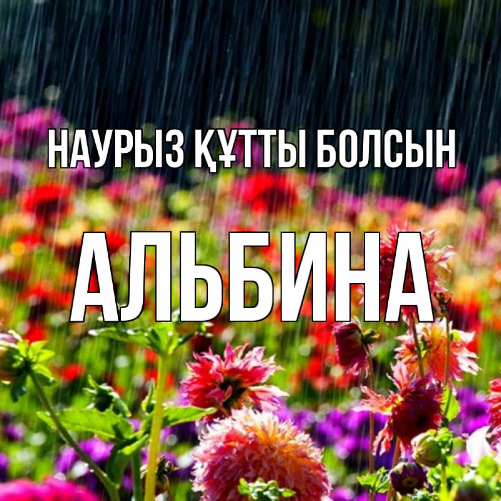 Күн сайын ашық хат с именем, Альбина Наурыз құтты болсын цветы под дождиком к наурызу Онлайн тегін жүктеп алу тілектері бар керемет карта 