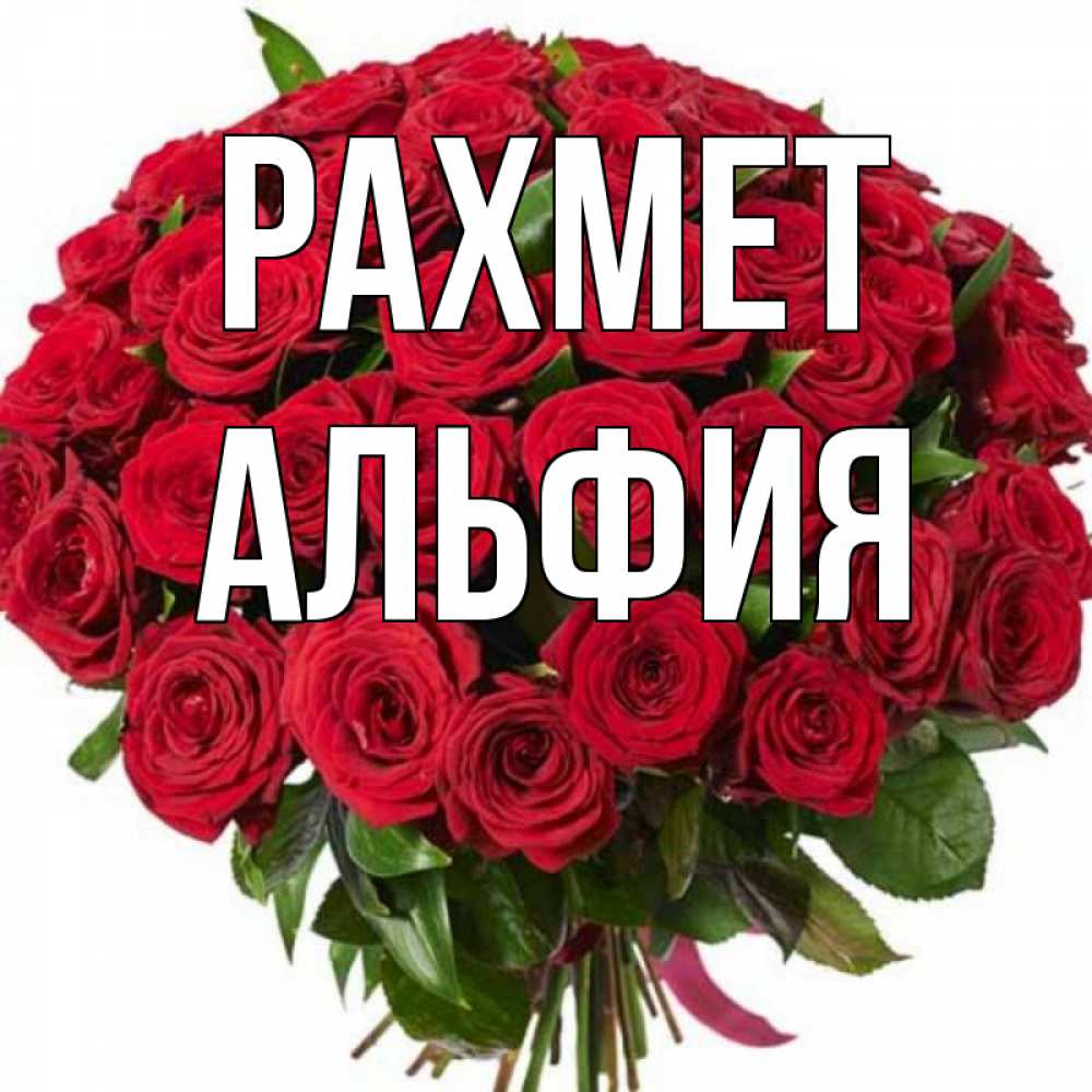 Күн сайын ашық хат с именем, Альфия рахмет букет красных роз Онлайн тегін жүктеп алу тілектері бар керемет карта 