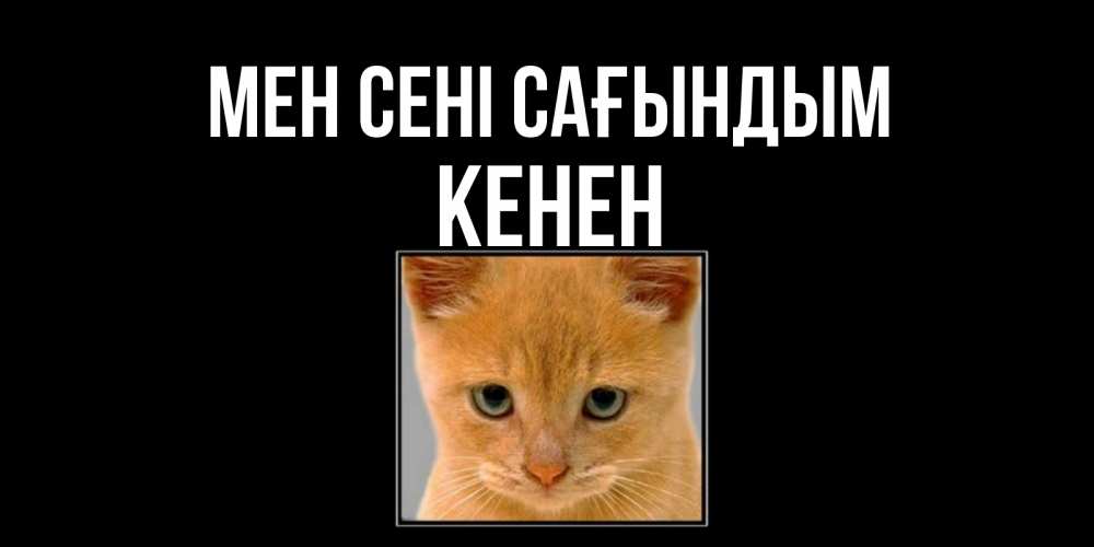 Күн сайын ашық хат с именем, Кенен Мен сені сағындым открытки рыжий котенок скучает по тебе Онлайн тегін жүктеп алу тілектері бар керемет карта 