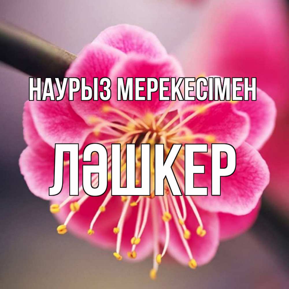 Күн сайын ашық хат с именем, ЛӘШКЕР Наурыз мерекесімен цветы Онлайн тегін жүктеп алу тілектері бар керемет карта 