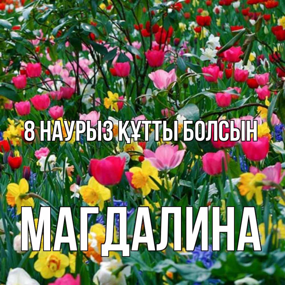 Күн сайын ашық хат с именем, Магдалина 8 наурыз құтты болсын с международным женским днем поздравления для женщины Онлайн тегін жүктеп алу тілектері бар керемет карта 