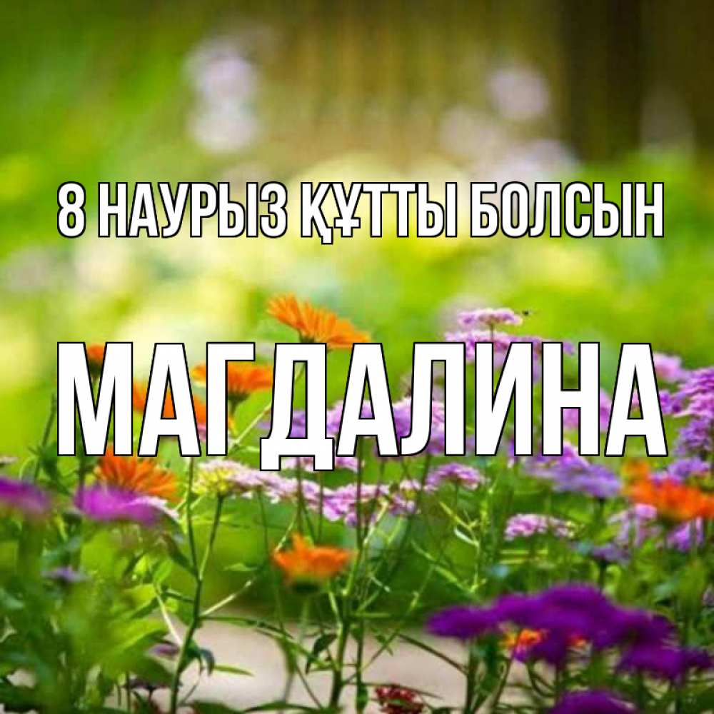 Күн сайын ашық хат с именем, Магдалина 8 наурыз құтты болсын цветы Онлайн тегін жүктеп алу тілектері бар керемет карта 
