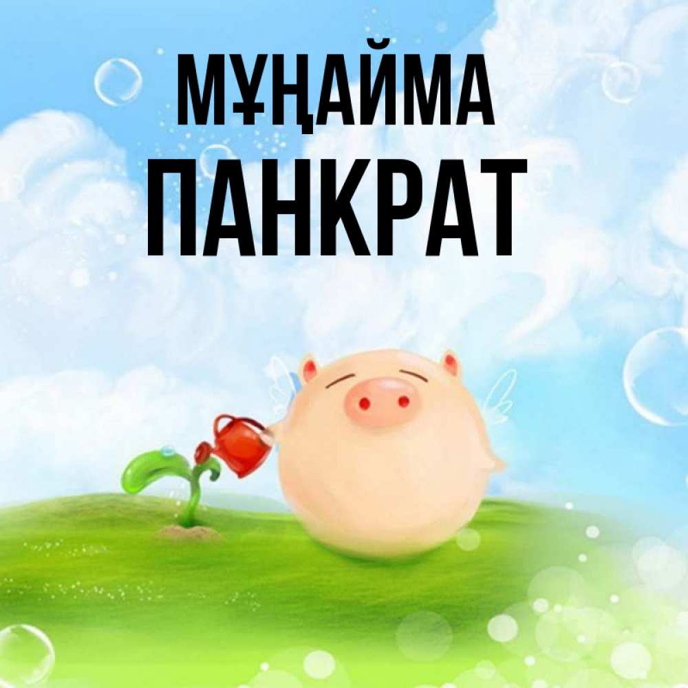 Күн сайын ашық хат с именем, Панкрат Мұңайма поливает цветок порося Онлайн тегін жүктеп алу тілектері бар керемет карта 