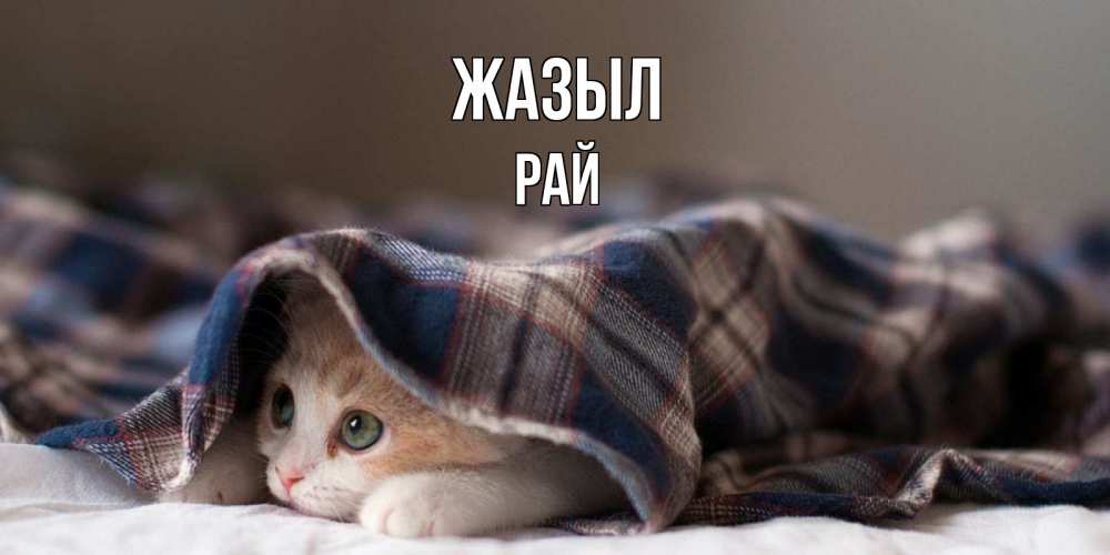 Күн сайын ашық хат с именем, РАЙ Жазыл не болейте с котиком Онлайн тегін жүктеп алу тілектері бар керемет карта 