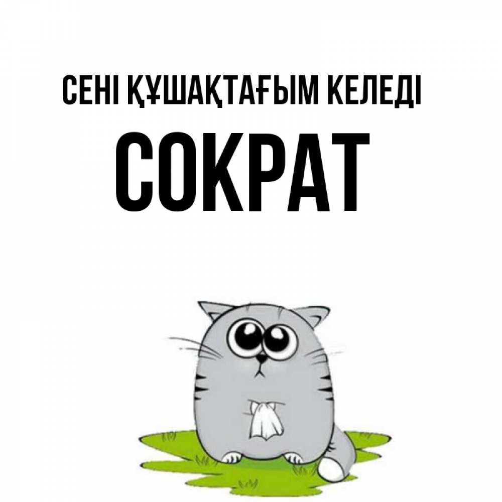 Күн сайын ашық хат с именем, Сократ сені құшақтағым келеді котик теребит платочек сидя на травке Онлайн тегін жүктеп алу тілектері бар керемет карта 