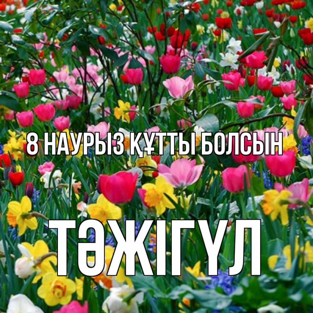 Күн сайын ашық хат с именем, ТӘЖІГҮЛ 8 наурыз құтты болсын с международным женским днем поздравления для женщины Онлайн тегін жүктеп алу тілектері бар керемет карта 