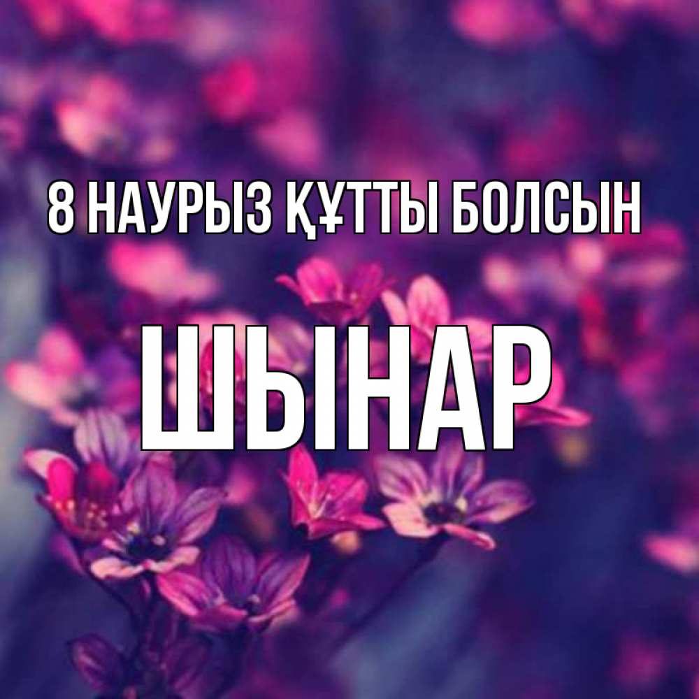 Күн сайын ашық хат с именем, ШЫНАР 8 наурыз құтты болсын небольшие цветы 1 Онлайн тегін жүктеп алу тілектері бар керемет карта 