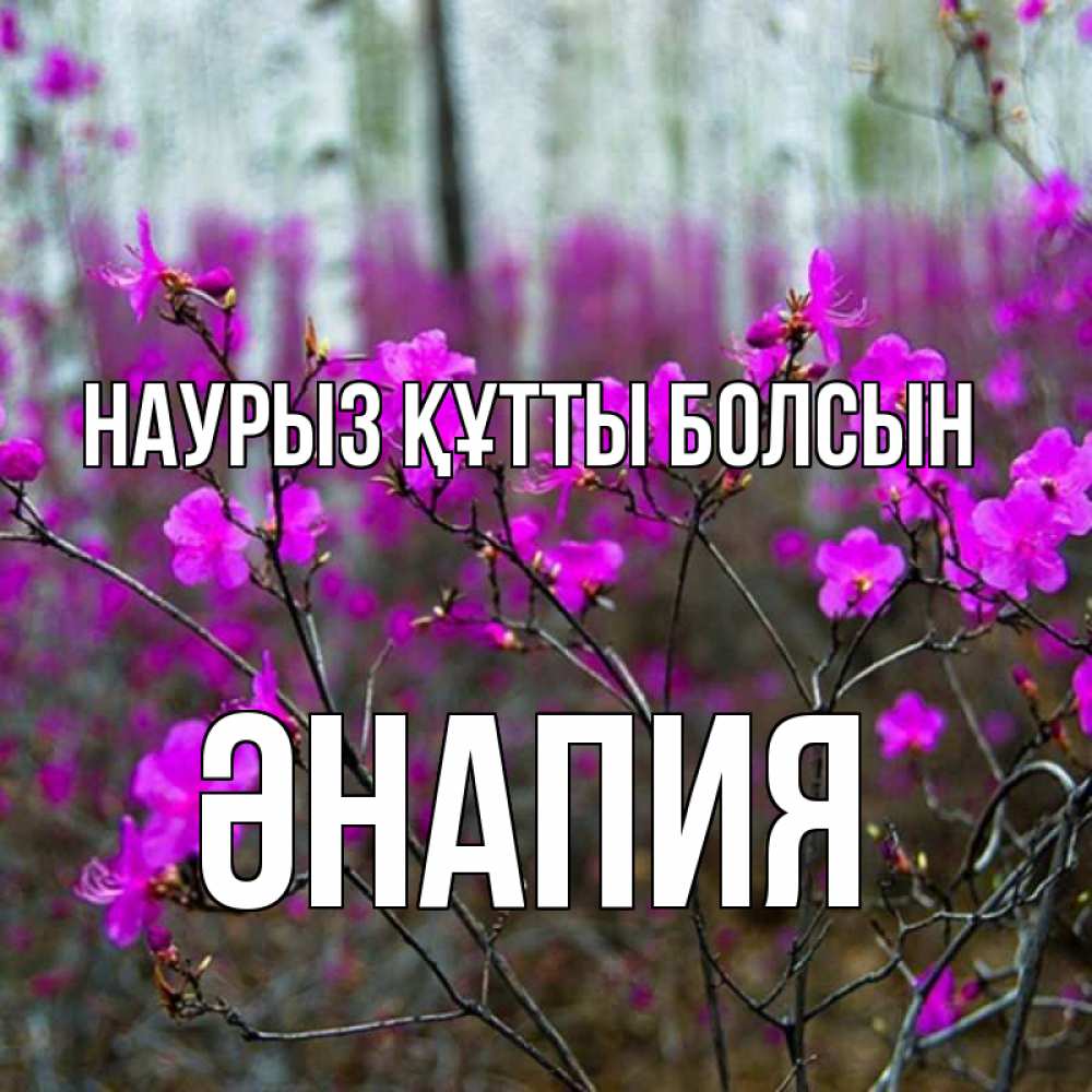 Күн сайын ашық хат с именем, ӘНАПИЯ Наурыз құтты болсын дикие цветы Онлайн тегін жүктеп алу тілектері бар керемет карта 