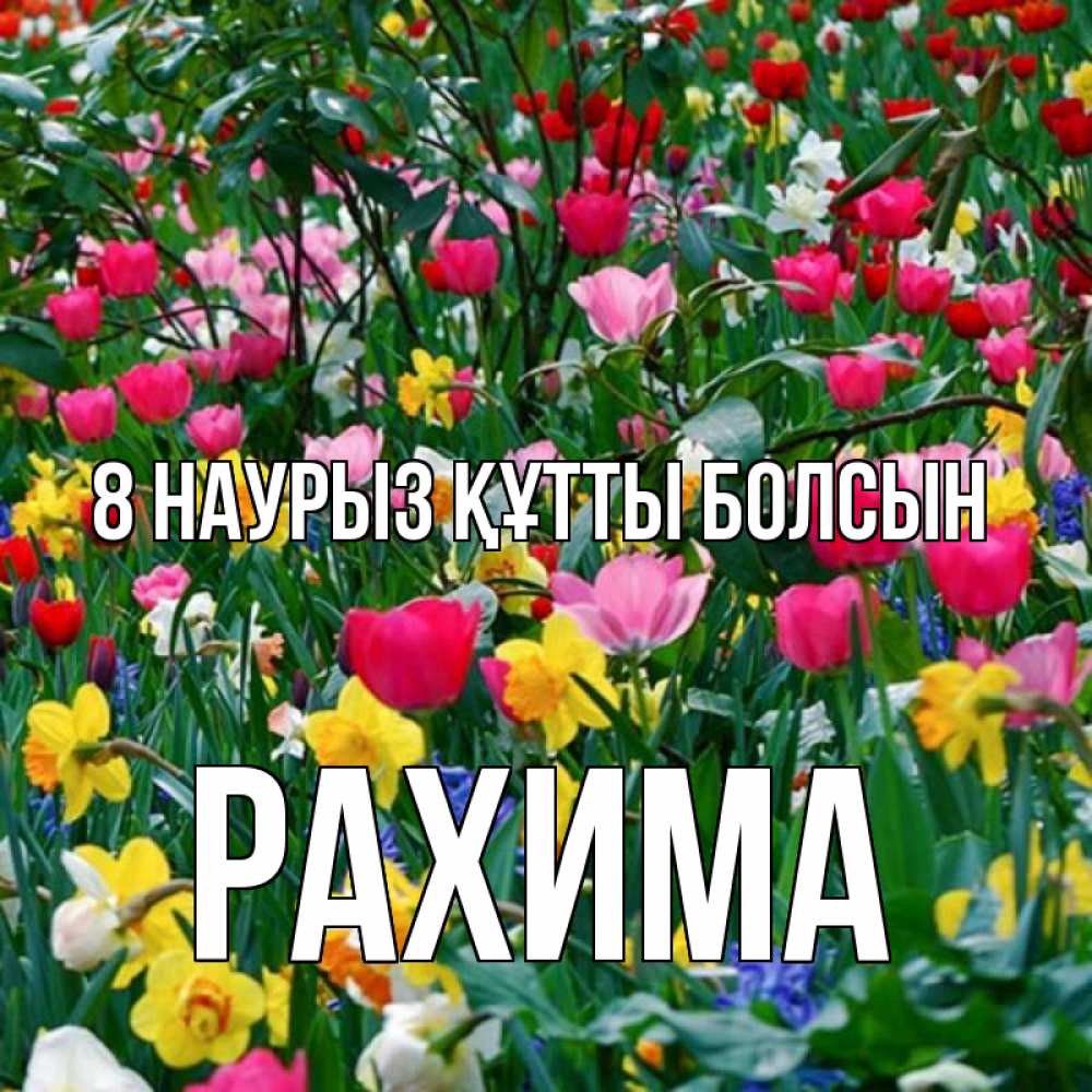 Күн сайын ашық хат с именем, РАХИМА 8 наурыз құтты болсын с международным женским днем поздравления для женщины Онлайн тегін жүктеп алу тілектері бар керемет карта 