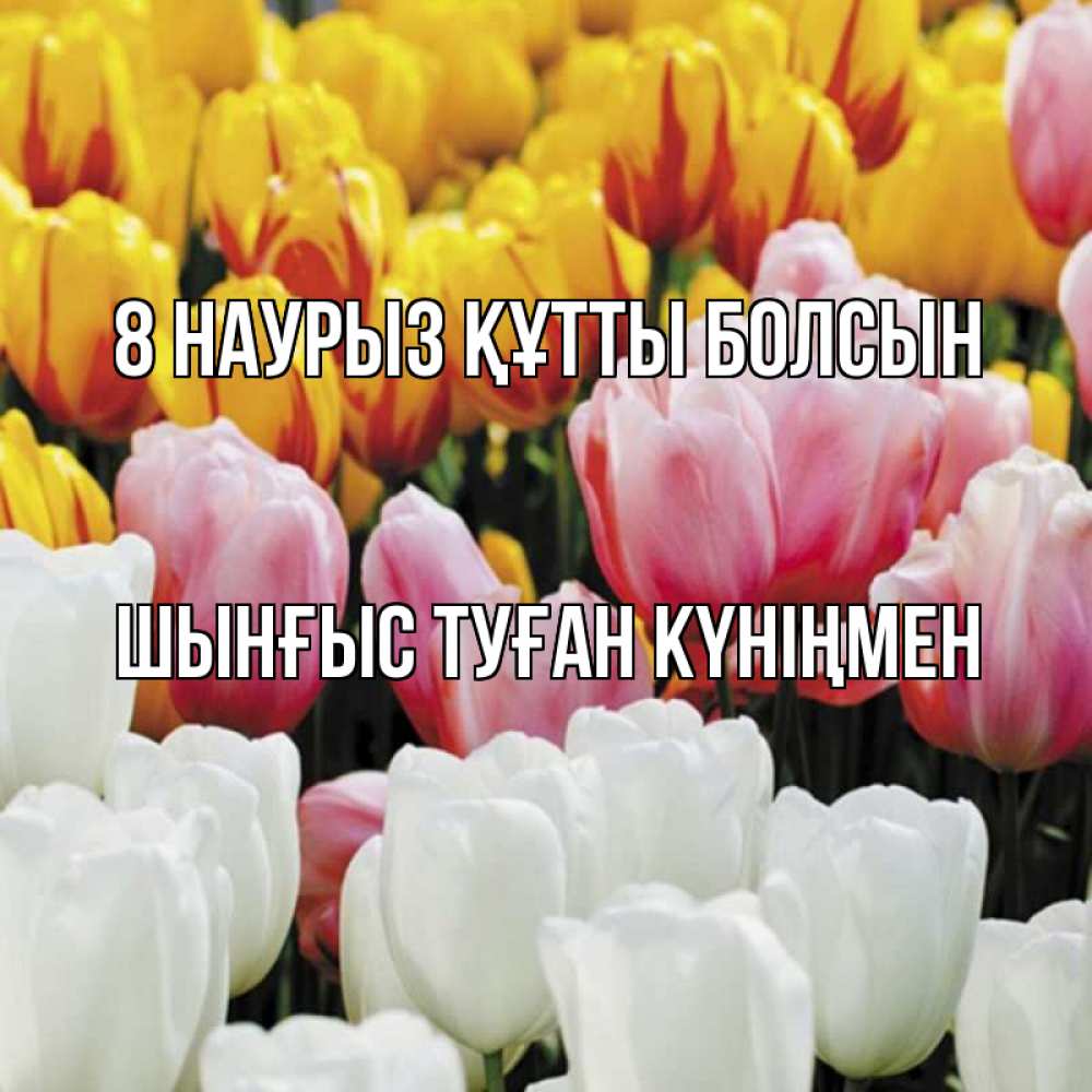 Картинка 8 наурыз құтты болсын, ШЫНҒЫС! ТУҒАН КҮНІҢМЕН!