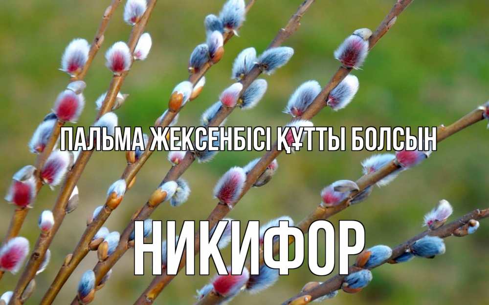 Картинка Пальма жексенбісі құтты болсын, Никифор